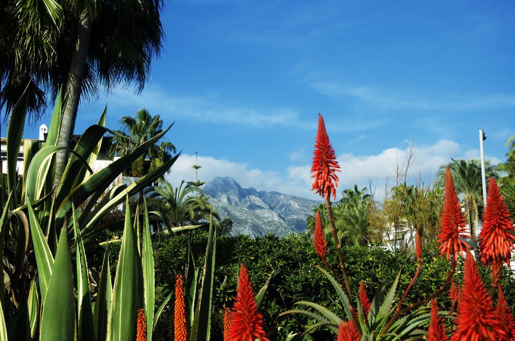 Botanic Home Marbella Exterior foto