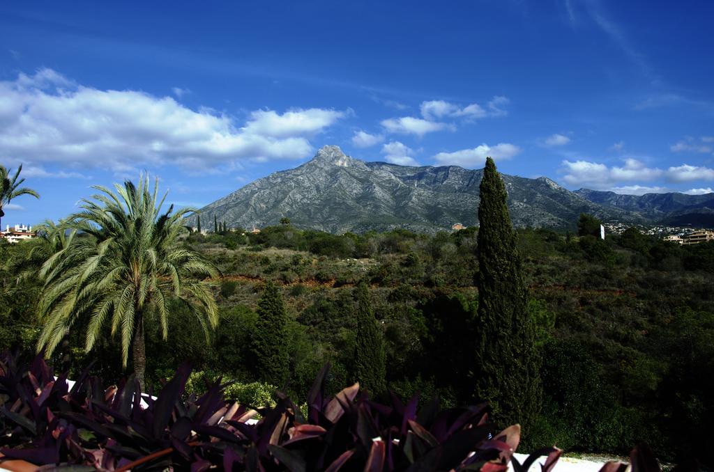 Botanic Home Marbella Exterior foto